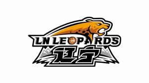 爱游戏APP-付政浩：辽篮近日又向银行质押900万股 全部股本已全部质押给银行