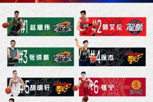 爱游戏APP-第3阶段球衣销量榜：球员继伟艾伦金金前三 球队辽宁上海广东前三